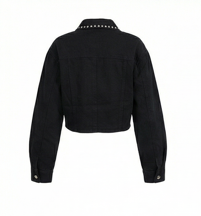 The Noir Rebel Cropped Jacket
